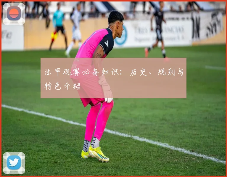 法甲观赛必备知识:历史、规则与特色介绍